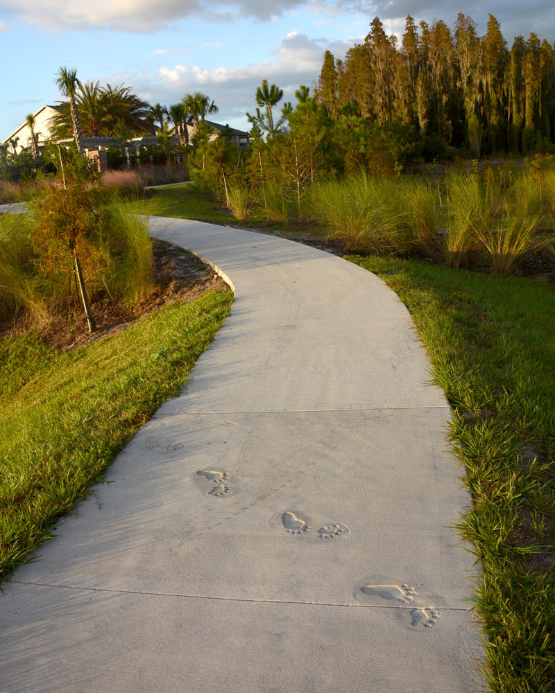 Union Park footprints in cement in pathway
