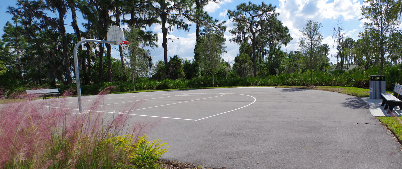 Waterleaf basketball court