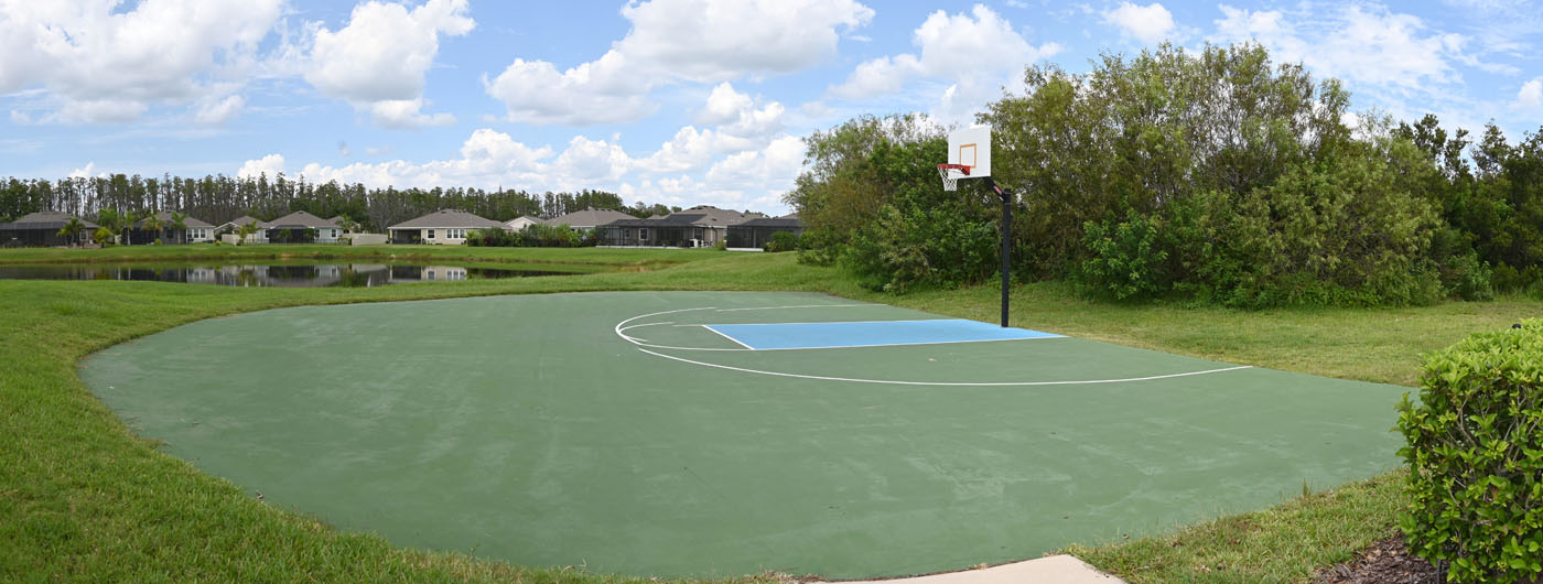 Sereno basketball hoop Panorama