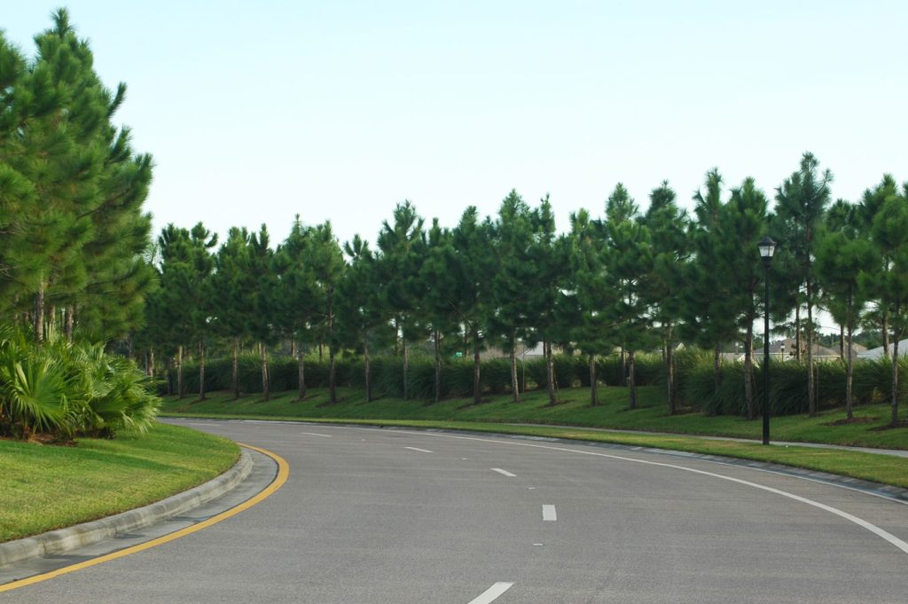 Panther Trace tree lined entrance road